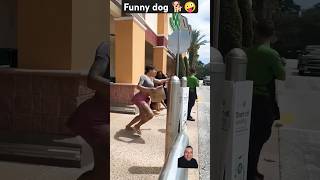 funny dog barking prank 🤣 funny dog barking comedyshorts shorts green greenscreen [upl. by Leis]