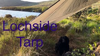 Lochside Tarp camping with my dog No Talking [upl. by Lama540]