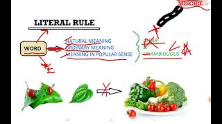 Literal Rule  Interpretation of Statutes [upl. by Terina441]