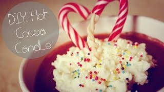 DIY Hot Cocoa Candle [upl. by Nonnek449]