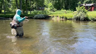 Trout Fishing Northwest Michigan  Summer 2024 [upl. by Leahcim971]