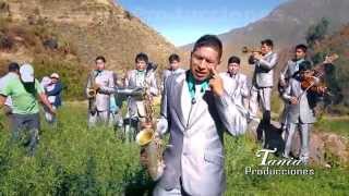 Los Super Brillantes del Ande  Lengua Venenosa Video Oficial  Tania Producciones ✓ [upl. by Madel]