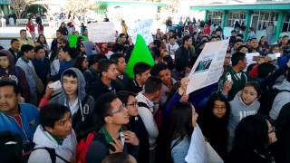 Paro de clases en el conalep protestan alumnos [upl. by Ydnes907]