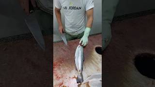 Incredible filleting of trout in 3 steps  easiest way [upl. by Eniaral720]