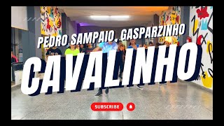 Pedro Sampaio Gasparzinho  Cavalinho Remix Alan Fica [upl. by Schwejda689]