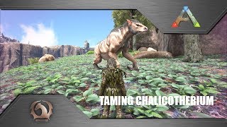 Ark Survival Evolved  Taming Chalicotherium [upl. by Nats]