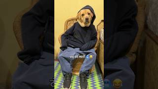 thand ki tyari 🥶😂  labra rubi  youtubeshorts shorts labrador doglover funny memes cute [upl. by Ilatfan]