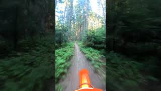 DARK FOREST SINGLETRACK pnw northwest ktm dirtbike [upl. by Bayer518]