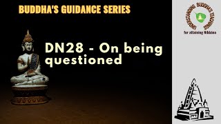 DN 28  On Being Questioned [upl. by Charline625]