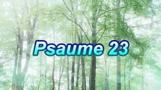 Psaume 23 [upl. by Belicia]