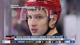 Vegas Golden Knights sign second free agent [upl. by Doggett692]