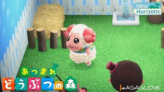 【あつ森】🥺ちゃちゃまる歌い出す🐏🎙♫ Animal Crossing New Horizons あつまれどうぶつの森domacnhkawaiiかわいいsing羊shorts [upl. by Bore]