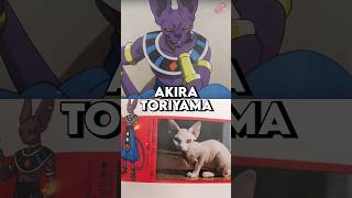 How did Toriyama come up with Beerus Design [upl. by Ahtnama]