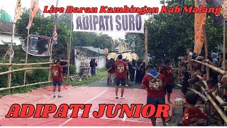 KESENIAN BANTENGAN ADIPATI JUNIOR  Live Kambingan Kab Malang [upl. by Myrah]