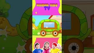 Turtle Bus  Funny Kids Songs amp Nursery Rhymes by Nomad Kids shorts kidsongs [upl. by Adnauq]