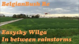 Easysky Wilga pzl104 inbetween rainstorms [upl. by Dragelin838]