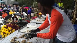 Wellfleet Oysterfest shucking competition [upl. by Nahtad]