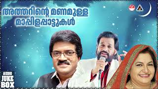 അത്തറിന്റെ മണമുള്ള മാപ്പിളപ്പാട്ടുകൾ  Malayalam Old Mappila Songs  Old Is Gold  mappilappattu [upl. by Namyh]