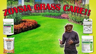 How To Care For Zoysia Grass Full Guide Fertilizer  Mowing  Watering  Pest  Fungus  Weeds [upl. by Atinaj275]