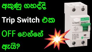 Why does the trip switch go off during lightning Electrical Engineering Sinhala [upl. by Anomar]