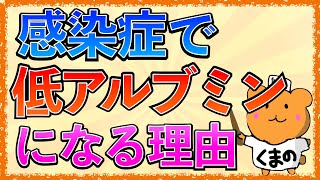 イラストで学ぶ医学！「感染症で低アルブミンになる理由とは？」CRPとAlbの関係とアセスメントの仕方 [upl. by Sulihpoeht]