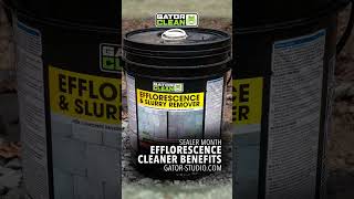 Efflorescence Cleaner Benefits [upl. by Jobyna]