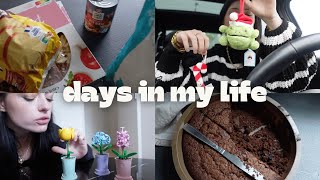 vlog 🍫🛍️ haul nouvelle chaîne YouTube dupes lego à 149€ amp gâteau à la courgette [upl. by Bevers]