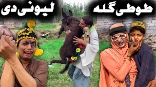 Tuti Gulla Lewane De Pashto New Funny Video 2023 by Tuti Gull Official [upl. by Kovacev]