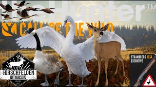 Hunting Geese and Roe Deer quotBow Onlyquot in Hirschfelden The Hunter Call Of The Wild [upl. by Chantal]