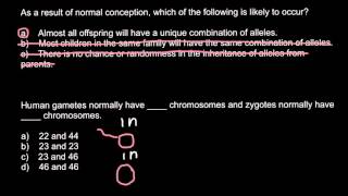 Recombination and chromosome number [upl. by Waring]