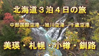 ３泊４日北海道の旅🛫 美瑛・札幌・小樽・釧路♨️ [upl. by Eiralih256]