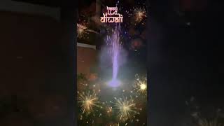 2024DiwaliFastival familyvlog [upl. by Llerdnod608]