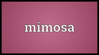 Mimosa Meaning [upl. by Sergeant]