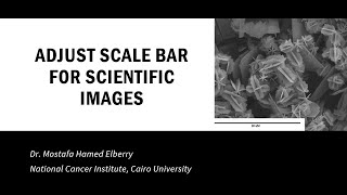 HOW TO ADJUST SCALE BAR FOR SCIENTIFIC IMAGES [upl. by Shirlie909]