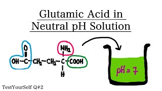 Glutamic Acid in Neutral pH 7  TestYourSelf Answer Question 2 [upl. by Tennes]