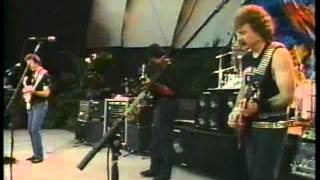 Doobie Brothers Cycles Tour Honolulu Hawaii 1990 Full Concert [upl. by Doe]