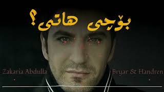 Zakaria Abdulla  Bochi Hati Remix  زەکەریا  بۆچی هاتی  Bryar amp Handren  Kurdish Remix [upl. by Ennaid]