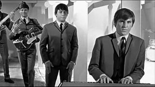 The Animals  House of the Rising Sun 1964  clip comp 60 YEARS ❤ 🎶⭐ [upl. by Aderf]