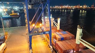 Man Cage with Stevedoring Inside Unloading Moreta Container Ship  Modern Maritime Operations [upl. by Acisse]