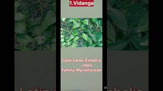 Trimad Ayurveda ☘️🌿DRUGS ☘️☘️Dravyaguna 🌿like share and subscribe my channel 👍 🙏 👍 [upl. by Georgi]