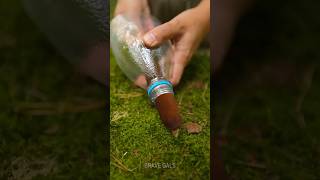 Cattail  plastic bottle free effective DIY water filter 💦 camping hack [upl. by Janeen]