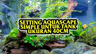 SETTING AQUASCAPE SIMPLE TANK 40CM [upl. by Hoeg]