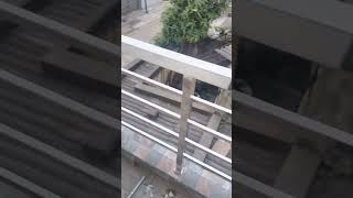 Steel balcony railing designsteelrailingbalconyssrailingmodling [upl. by Saravat]