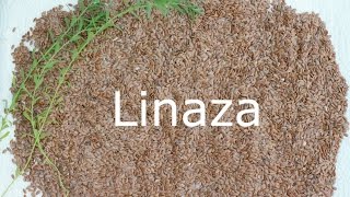 Beneficios de linaza para la salud cabello y piel [upl. by Yenruoj]