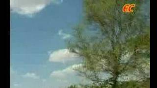 Um Paatham  Tamil Christian Song [upl. by Pik18]