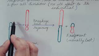 Robertsonian Translocation Genetics [upl. by Emerald947]