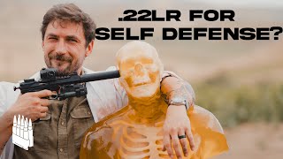 How Deadly Is A 22 Pistol 22 Pistol vs Human [upl. by Eimmit]