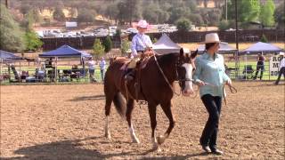 2015 Horse Show Lead Line Class [upl. by Vorster]