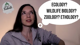 Which job is right for you Ecologist v Wildlife Biologist v Zoologist v Ethologist [upl. by Einnov]