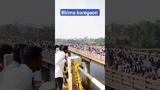 bhima koregaon viral short bhimakoregao trending viral shortfeed shortvideo shorts [upl. by Cornie283]